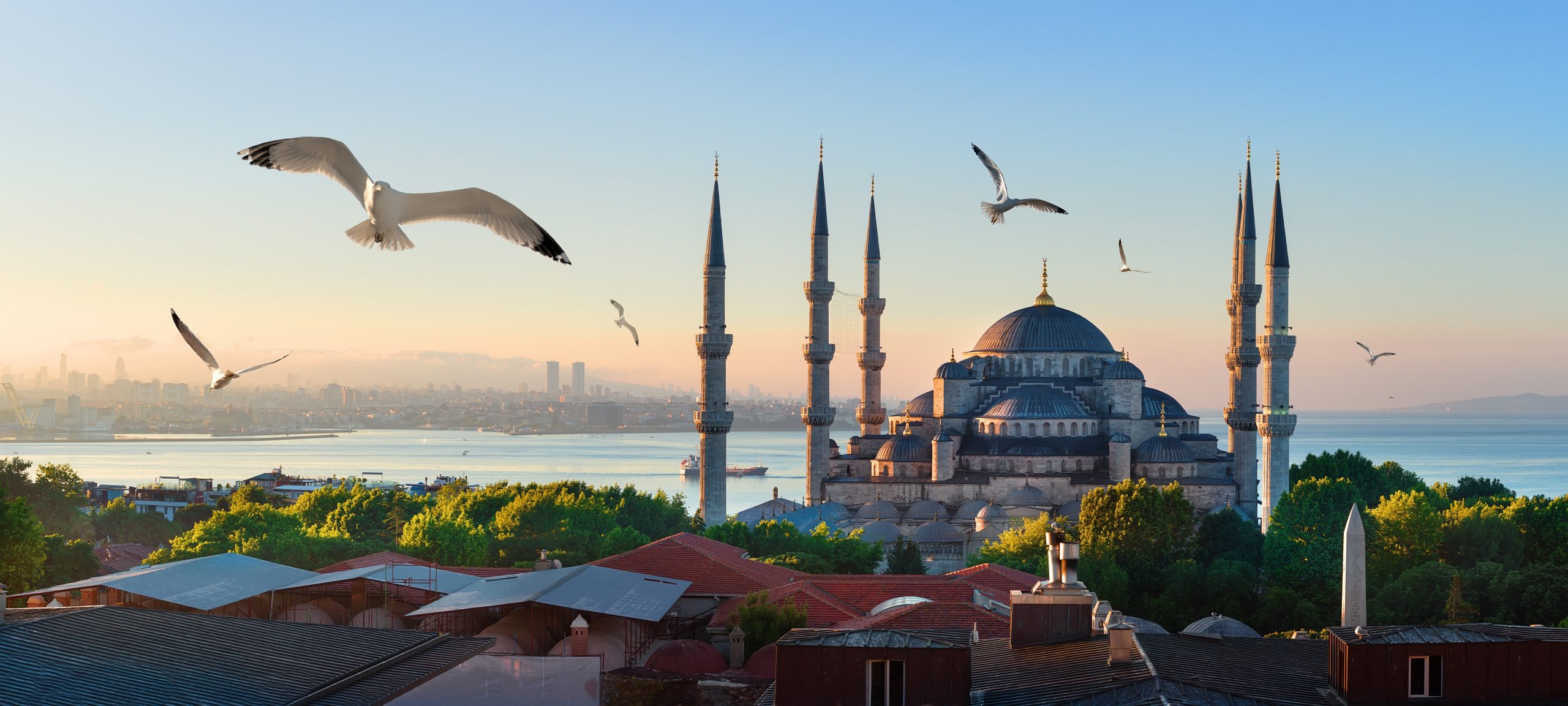 Visa Turkey